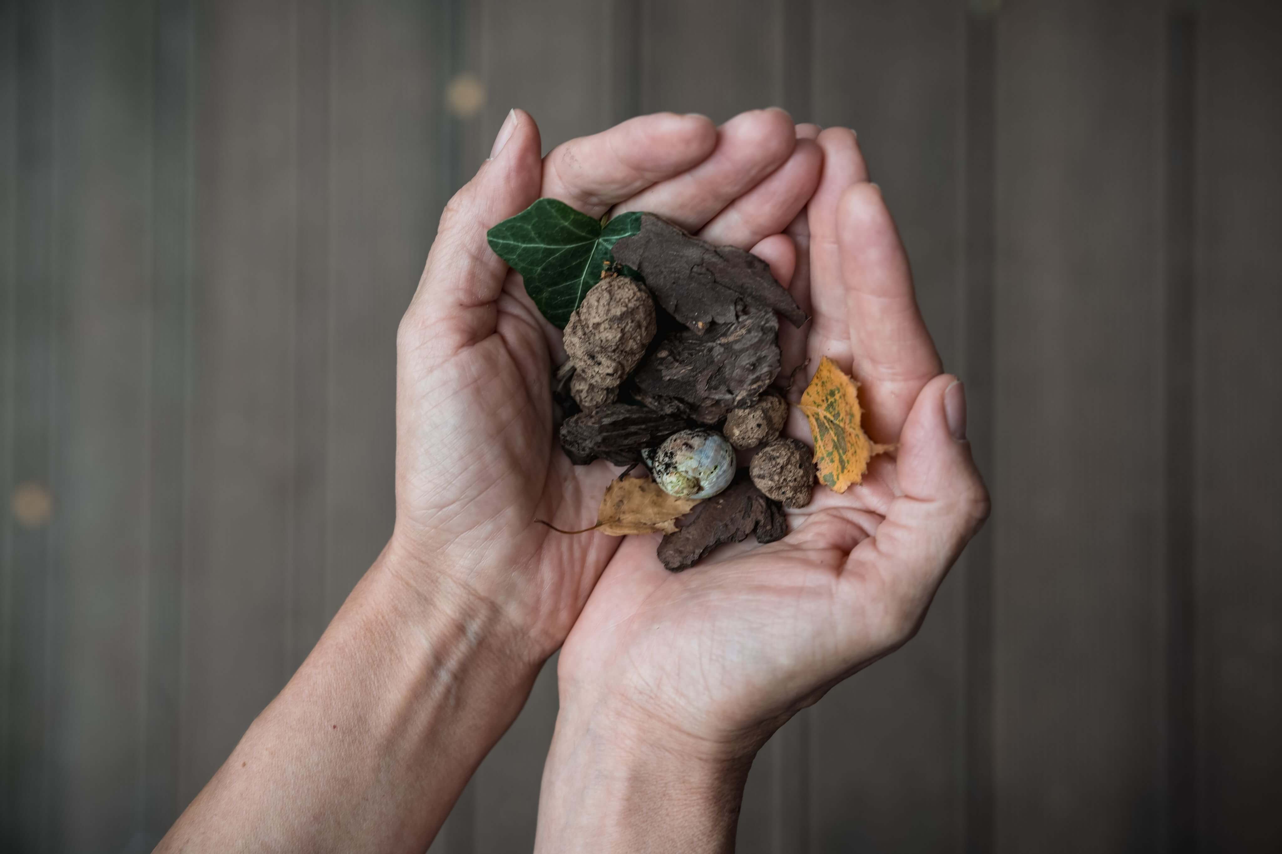 Зцілення через зв'язок